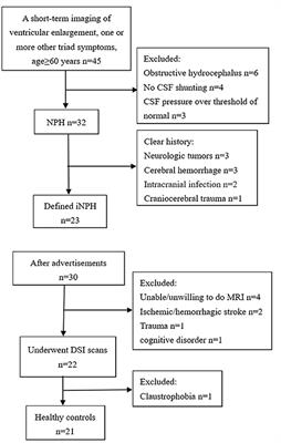 Diffusion Spectrum Imaging of Corticospinal Tracts in Idiopathic Normal Pressure Hydrocephalus